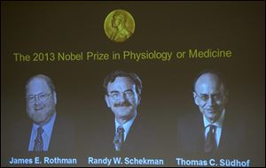 Images of James Rothman and Randy Schekman, of the U.S.,  and German-born researcher Thomas Suedhof  are projected on a screen, in Stockholm, Sweden, today  after they were announced as the winners of the 2013 Nobel Prize in medicine. 