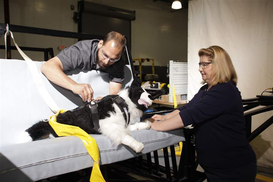 Pet owners should give car safety extra thought The Blade