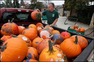 Toledo Zoo grounds worker Kevin Kerste unloads pumpkins at the zoo. 
