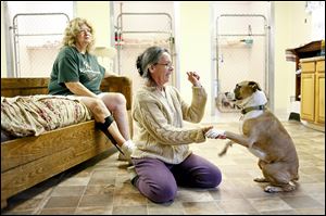 Founder Jane Huth plays with Flo, a 1-year-old female boxer/bea-gle mix, while sitting next to her is partner and neighbor Anne Schumann. You Lucky Dog will close down after nearly 10 years.