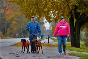 Dan Pope walks Mr. Jingles as Laura Berlincourt handles Ellie Mae near their home on Bayshore Road in Oregon. The couple said both dogs have adapted well, and Mr. Jingles' spirits have perked up.