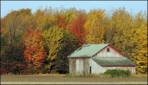 A faded barn sits among fall colors near the corner of Yankee Road and S. County Line Hwy in Ottawa Lake, Mich.