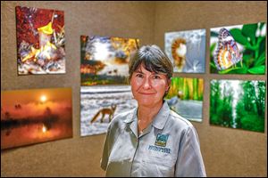 Gallery manager Karen Pugh at the National Center for Nature Photography at Secor Metropark calls the exhibits ‘just a wonderful tie-in to the whole Oak Openings area.’ 