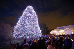 Thirty-five thousand lights on an 85-foot Norway Spruce are lit during a ceremony kicking off Lights Before Christmas at the Toledo Zoo, Friday. Masterworks Chorale performed and visitors also met characters from the Ballet Theatre of Toledo's production of the Nutcracker.