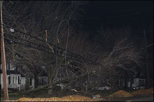 Branches from a tree rest on power lines along Louisiana Avenue in Perrysburg.