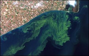 A satellite photo reveals algae blooms swirling on Lake Erie. Scientists expect the blooms to worsen with climate change and modern farming practices. 