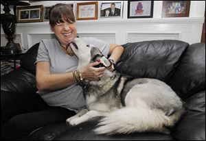 Vicki Schramm gets a kiss from Blue, a Husky she is caring for in her Toledo home after it wound up in Toledo from Texas. Blue ran away in 2007 and her owner would like the Schramms to keep the dog. 
