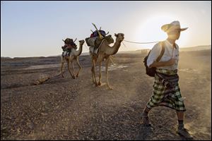 Journalist Paul Salopek walks across the Afar desert of Ethiopia as part of his planned seven-year global trek from Africa to Tierra del Fuego.