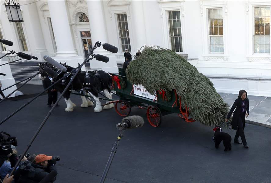 White-House-Christmas-Tree