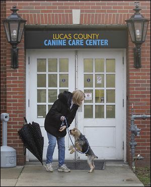 Volunteer Kaye Stephens walks a dog outside the Lucas County Canine Care Center.