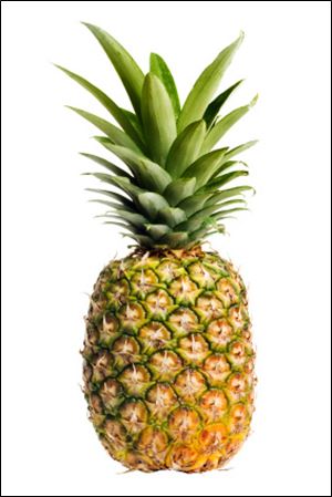 Pineapple has been a symbol of hospitality for centuries.