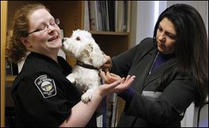Lucas County Canine Care & Control director Julie Lyle is licked by Maserati as Lucas County Auditor Anita Lopez attaches his dog license.