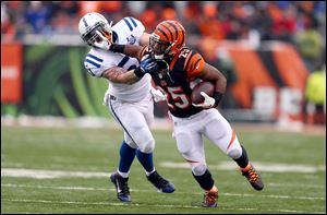 Giovani Bernard #25 of the Cincinnati Bengals runs with the ball while defended by Pat Angerer #51 of the Indianapolis Colts.