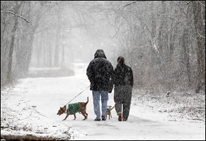 Extra care should be taken with pets in cold weather. Deicing agents and antifreeze can be toxic if pets lick it off their paws. Outdoor pet shelters should be kept off the ground and away from the wind.