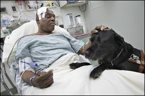 Cecil Williams pets his guide dog, Orlando, in his hospital bed following a fall onto subway tracks from the platform, Tuesday in New York.