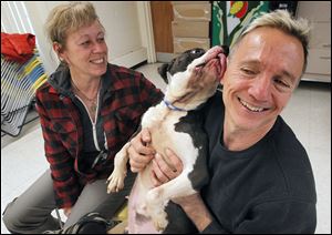 Donna Reynolds and Tim Racer, founders of BADRAP in California, played with ‘pit bull’ Michaela last month during a visit to Lucas County Canine Care & Control in Toledo to evaluate six ‘pit bulls.’