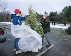 Courtney Macklin, left, and Justin Richmond of Toledo leave their Christmas tree at Jermain Park for city pickup.