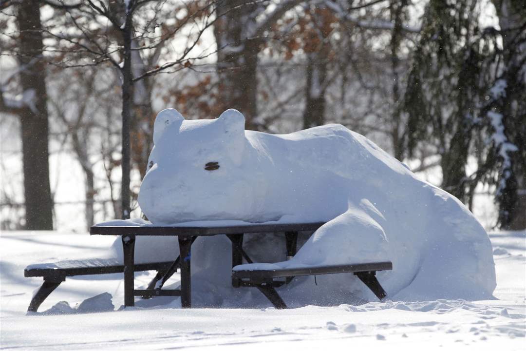 CTY-snowcritters06p-Magazine-Polar-Bear