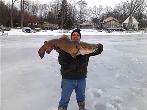 Dale Blakley of Niles, Mich., holds a new state record flathead catfish he caught on Barron Lake in Cass County. The fish weighed 52.0 pounds and measured 46.02 inches.