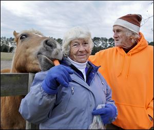 Mary and Peter Gregory feed a carrot to one of their retired, abused or neglected horses.