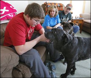 Austin James, 17, plays with Maggie, formerly Princess P, at the home of his parents, Shannon and Terry James in Bradner, Ohio. The family also has another dog, Milo.