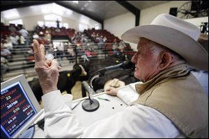 Jim Warren, owner of 101 Livestock Market, conducts a cattle auction in Aromas, Calif. 