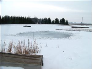 Clearing heavy snow from a portion of a pond’s surface will allow light to reach the water beneath the ice where plants produce oxygen for the fish.
