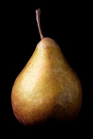 ‘Single Brown Pear #4,’ a photograph by Sarah Sobel-Poage. A reception for a show of her work will be 11 a.m. to 1 p.m. Saturday in Downtown Latte, 44 S. St. Clair St.