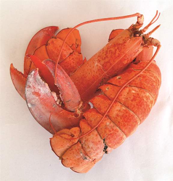 lobster-jpg