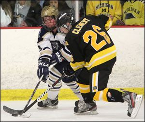 St. John's Ryan Rafac, left, battles Northview's Ian Clement for control of the puck during the third period on Saturday.