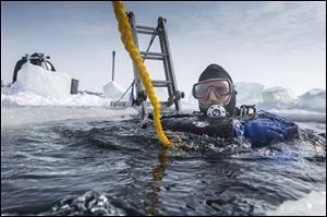 Jeff Omstead of Wheatley, Ont., begins his dive on Jana’s Wreck in Colchester.