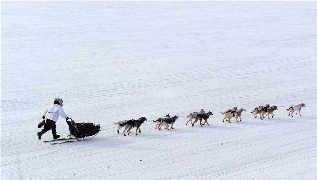2014-Iditarod-White-Mountain-12