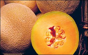 The pitted rind of the cantaloupe is perfect for hiding bacteria.