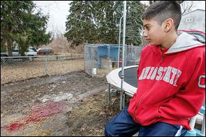 Daniel Perez, 12, looks toward the pool of blood from where the bodies of  two of the family’s dogs were left after police shot them.