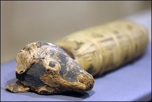 A dog mummy is displayed at Orange County’s Bowers Museum in Santa Ana, Calif. The exhibit is “Soulful Creatures: Animal Mummies in Ancient Egypt.”