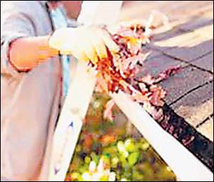 Clean the gutters of leaves and debris.