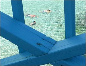 Snorkelers can be spotted from a deck in Eleuthera in the Bahamas. 