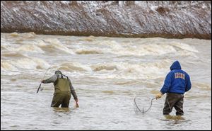 Andrew Anacki of Akron, left, hauls in a carp as his uncle, Bob Parry of Maumee, looks on while the two fish for walleye near a section of rapids in the Maumee River at Side Cut Metropark in Maumee. Walleye fishing on the Maumee River will be one of the many events that are celebrated on 419 Day.