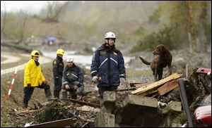 Search workers use a dog to help search a pile of debris, Wednesday at the site of the massive deadly mudslide that hit the community of Oso, Wash. on March 22.