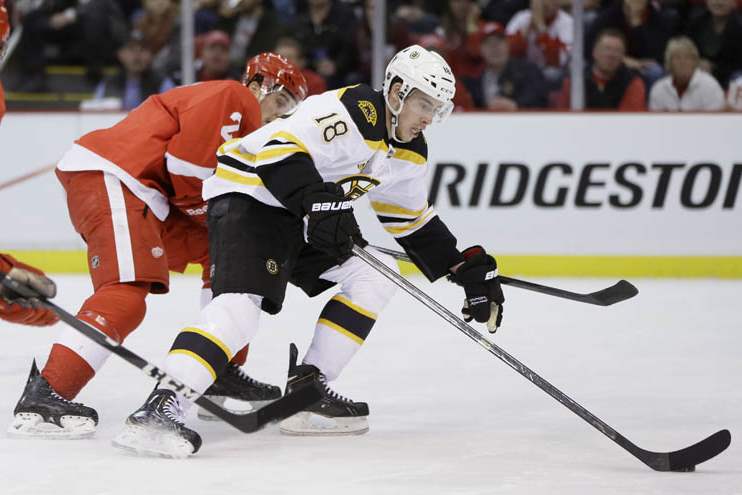 Bruins-Red-Wings-Hockey-14