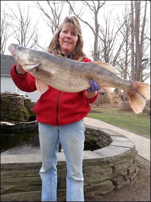 Mary Whitten holds a 32-inch, 13.02 pound walleye she caught on Lake Erie on April 6. She was fishing in the Niagara Reef area with her husband Joe, a pro angler.