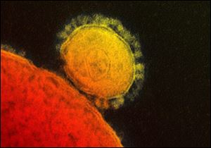 Health officials said the deadly MERS virus from the Middle East has turned up for the first time in the U.S.