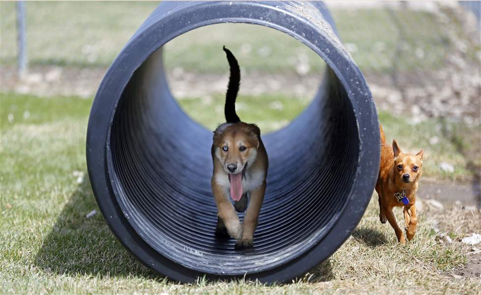 Five Things You Might Have Missed 505 The Blade