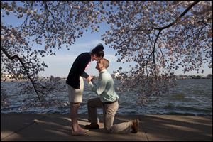 Steven Paska, 26, right, of Arlington, Va., asks his girlfriend of two years Jessica Deegan, 27, to marry him as cherry blossom trees in peak bloom line the tidal basin with the Jefferson Memorial in the background in Washington. Ms. Deegan said yes to the surprise marriage proposal. 