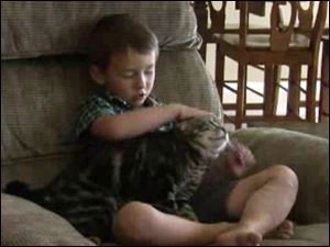 Jeremy Triantafilo, 4, and his cat who saved him from a dog who was biting his leg.