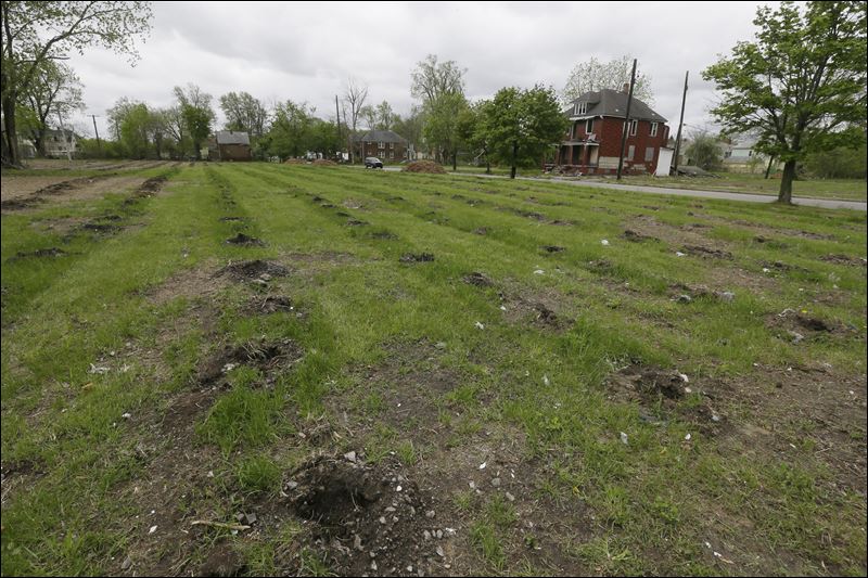 Project bringing 15K trees to distressed Detroit Toledo Blade