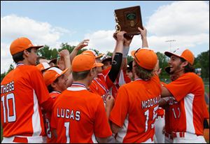 Southview celebrates defeating St. Francis 8-3 for a Division I district championship. The Cougars improved their record to 17-9.