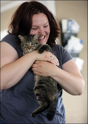 Dragon, a kitten surrendered by its owner, is held by foster caretaker Meaghan Fitzpatrick.  Dragon was born with deformed legs. A right hind leg was useless, and was removed April 30.