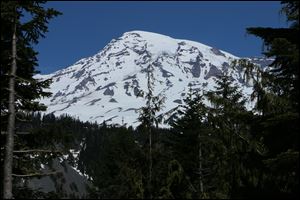 Mount Rainier is seen in the distance from a viewpoint within Mount Rainier National Park.
