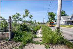 A school bus drives down Lincoln Avenue near an overgrown sidewalk near Smead Avenue in Toledo.